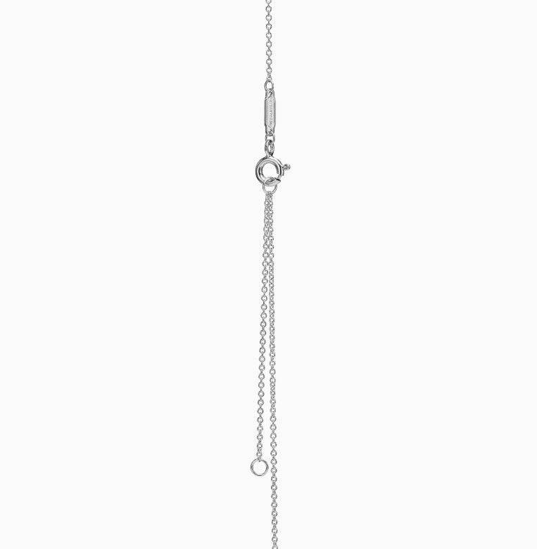 Tiffany Sterling Silver Enamel Necklace